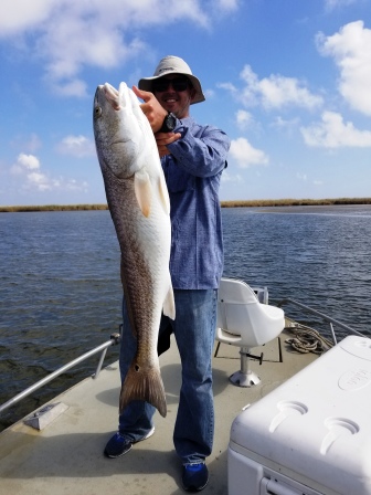 DJ bull red.jpg DJ bull red.jpg